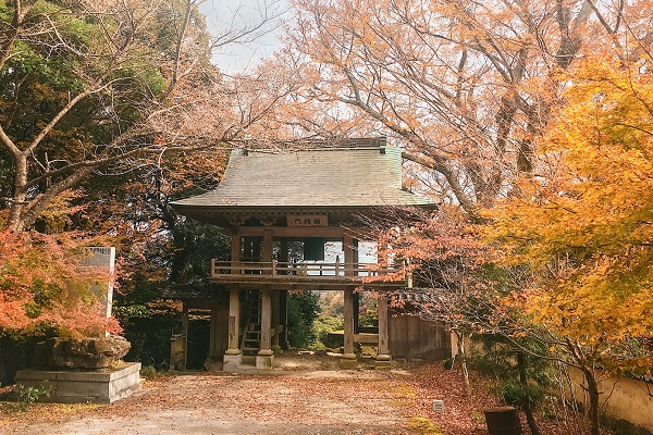 紅葉と寺門